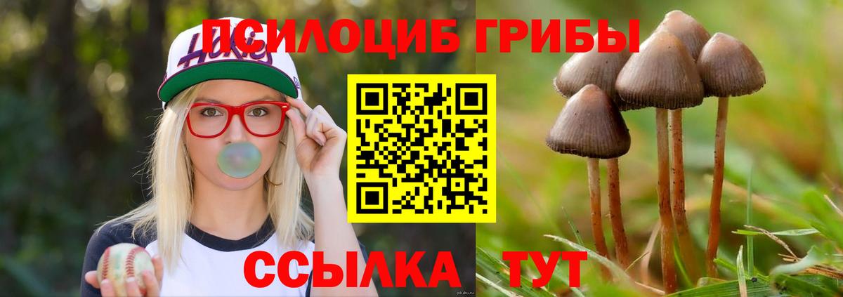 Псилоцибиновые грибы ЛСД  Псилоцибиновые грибы Psilocybe  Шахты  Вход с VPN 